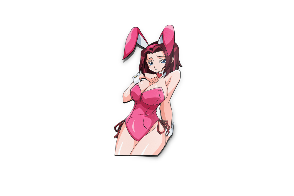 Kallen Bunny suit